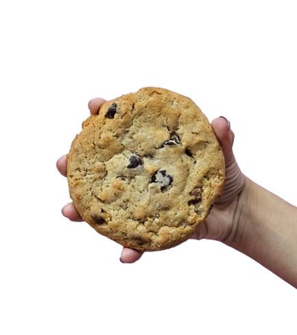 Chocolate Caramel Coconut