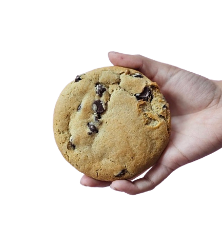 Chocolate Chip