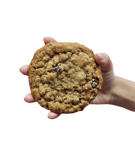 Oatmeal Chocolate Chip