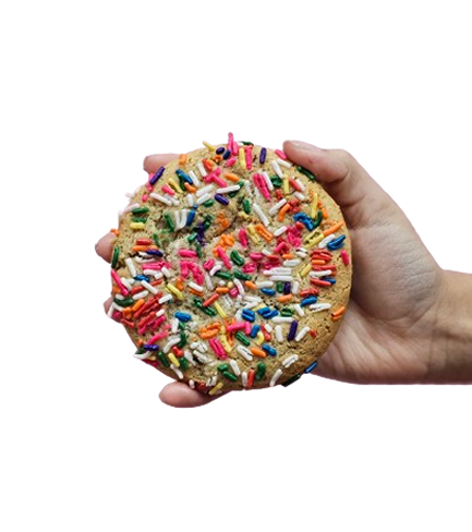 Rainbow Sprinkle Sugar Cookie